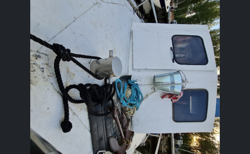 Family Cruiser-kuva-4